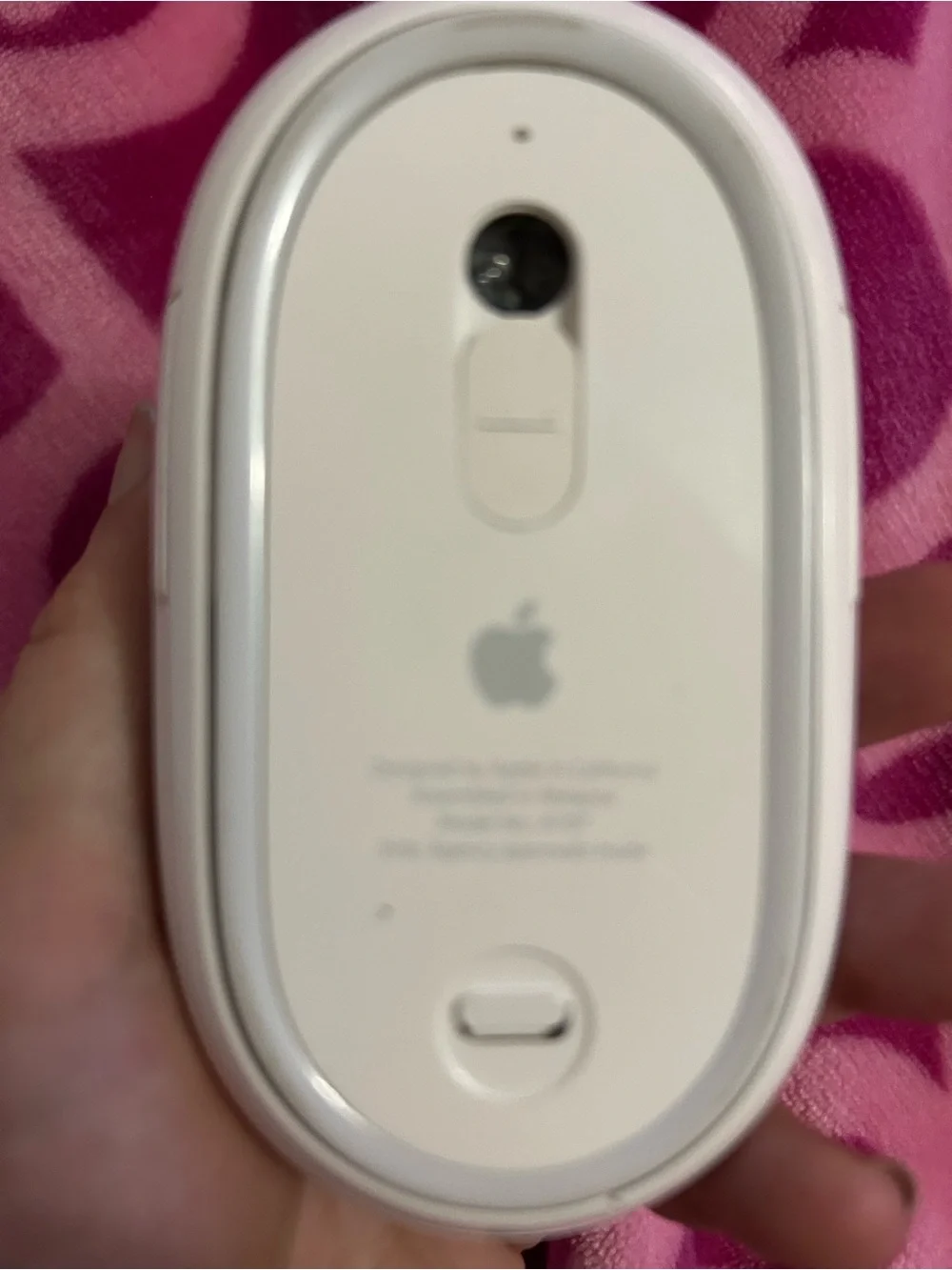 Apple White Magic Mouse (Bottom View)